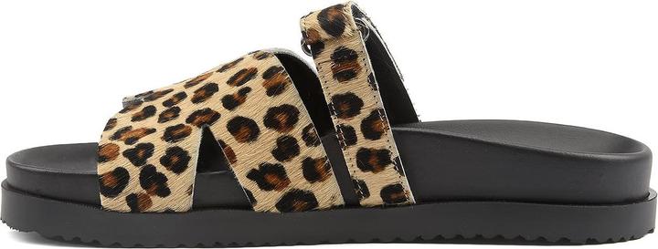 Produktbild Andrea Sabatini Cavalino (37)