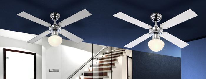 Actual product image Globo Champion (41.89 dB)