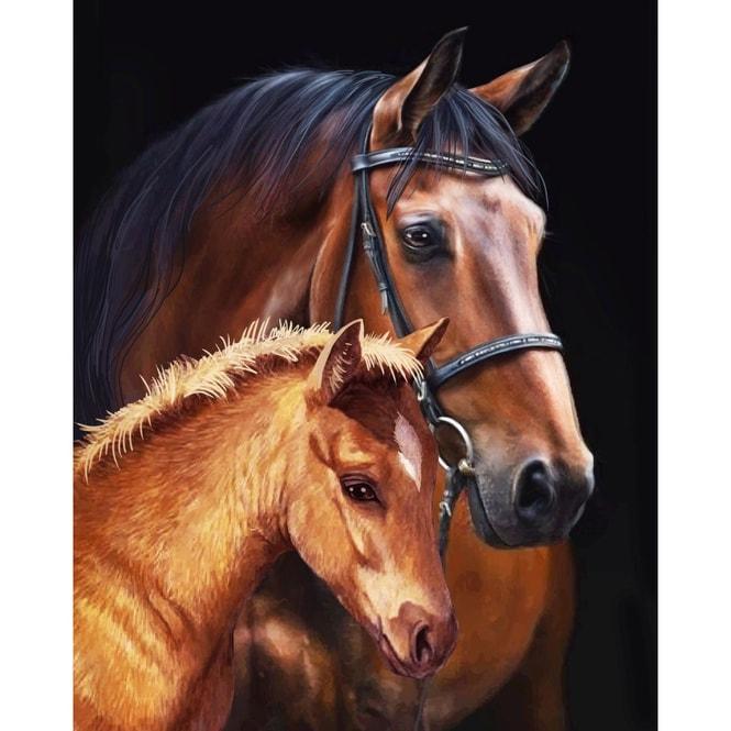 Image du produit Craft Buddy Chevaux, 35x45cm Crystal Art Scroll