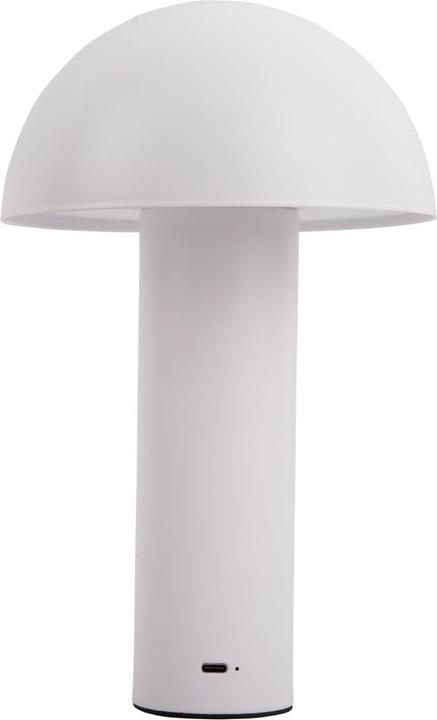 Image du produit Leitmotiv Table lamp Fuego