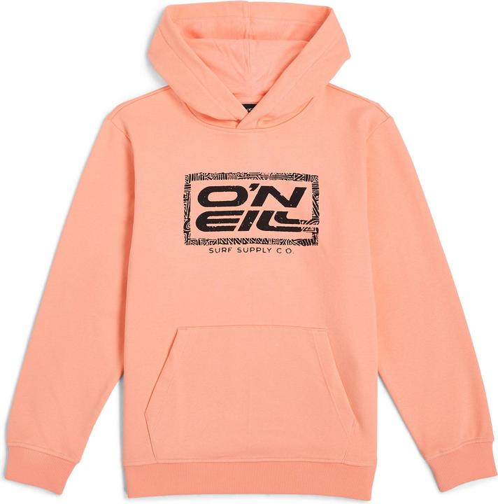Image du produit O'Neill Logo Hoodie (164)