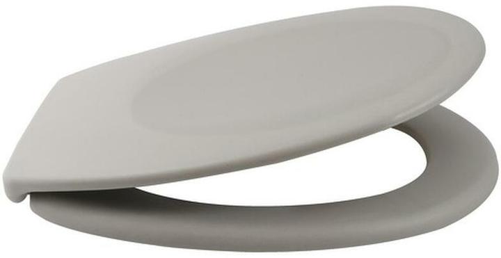 Actual product image spirella Toilet seat Neela Taupe matt