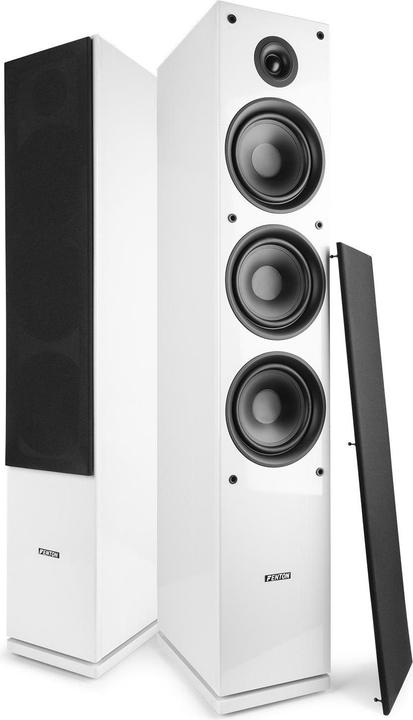 Immagine prodotto Fenton SHF80W (1 pz., 500 W)