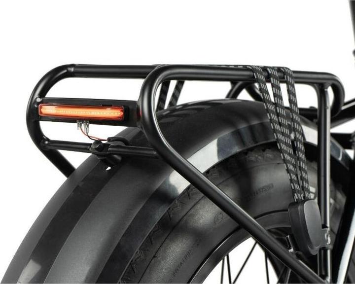 Actual product image Leader Fox Fat Bike 20 Cody 2024 (20")