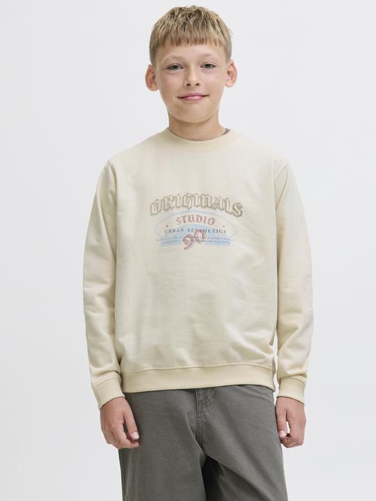 Actual product image Jack & Jones Junior Pullover MEADOWS Sweatshirt (164)