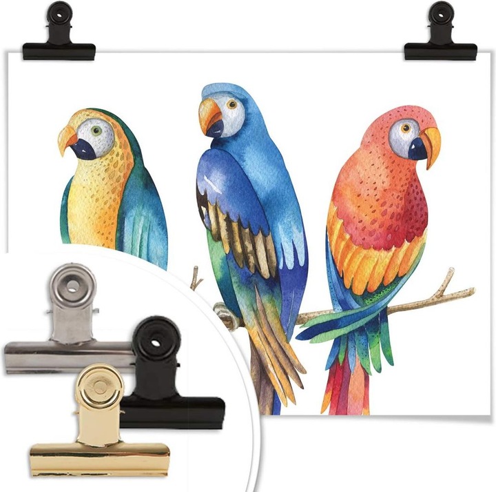 Produktbild Trenddeko Kvilis - Bunte Papageien (30 x 24 cm)
