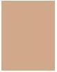 Image du produit Erborian BB Cream (Nude)