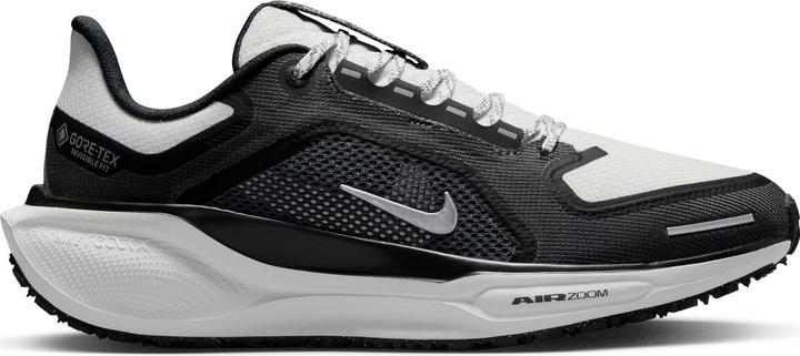 Produktbild Nike Pegasus 41 Goretex (41)