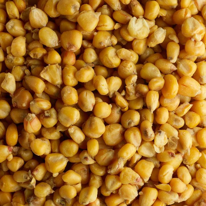 Immagine prodotto Caperlan Carpa cotta con particelle
