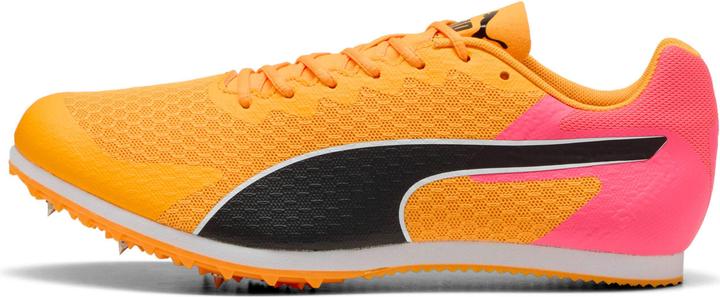 Image du produit Puma evoSPEED Star 9 (42)