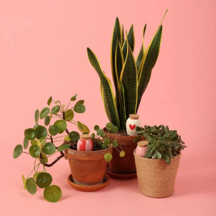 Image du produit Pepin Mini Ollas (Cône d'argile)