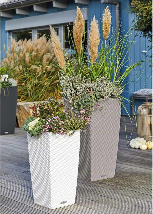 Immagine prodotto Lechuza Cubico Cottage (29.50 cm)