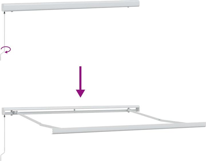 Actual product image vidaXL Retractable awning (2.50 m)