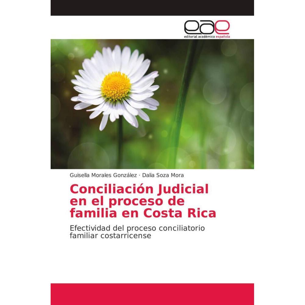 Conciliación Judicial en el proceso de familia en Costa Rica, Ratgeber