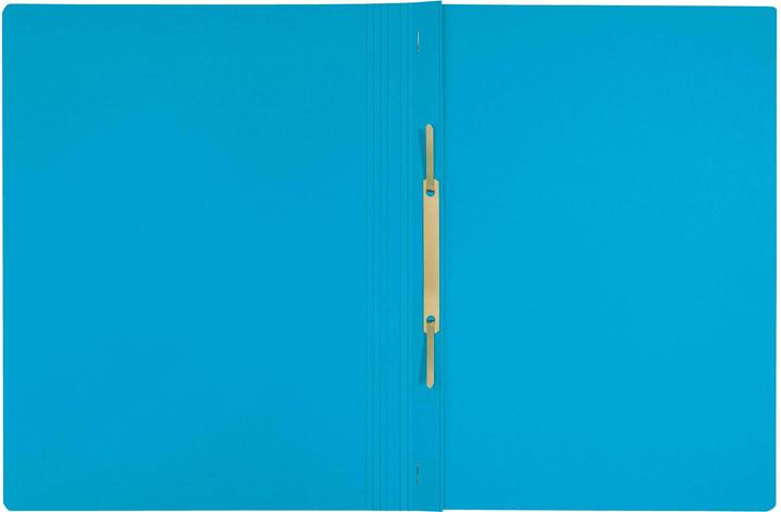 Image du produit Leitz Dossier de reporting Recycle A4 bleu, 10 pièces (A4, 10x)