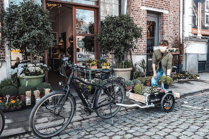 Produktbild Burley Flatbed