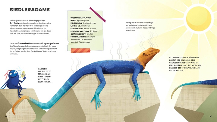 Produktbild National Geographic Besonders und wunderbar: Reptilien (Deutsch, Cristina Banfi, Claudia Theis-Passaro, 2021)