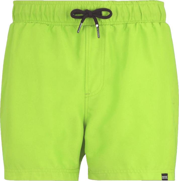 Produktbild Regatta Mawson II Kurze Hose (XXL)