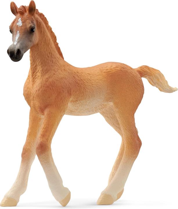 Schleich Araber Fohlen