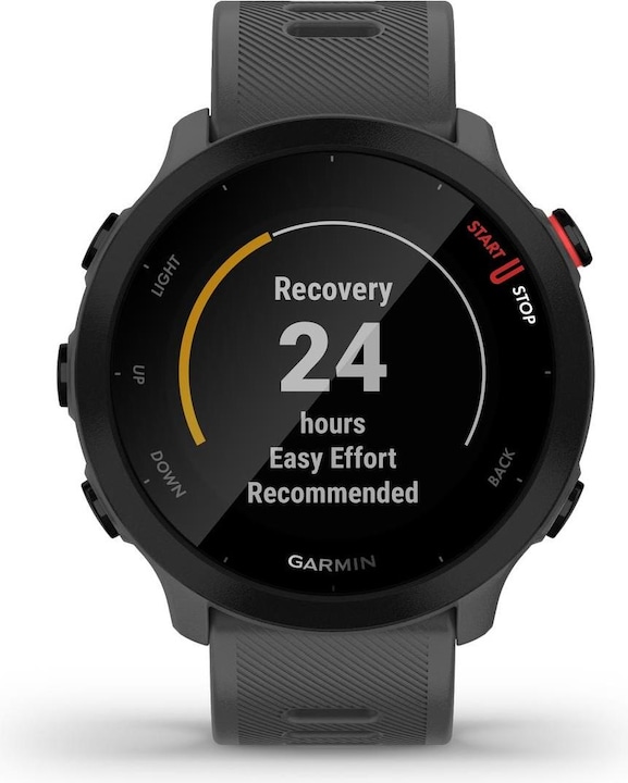 Produktbild Garmin Forerunner 55 (42 mm)