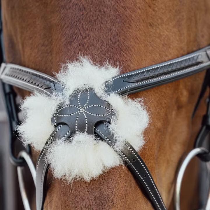 Image du produit Dy'on Muserolle cheval tressée en forme de 8