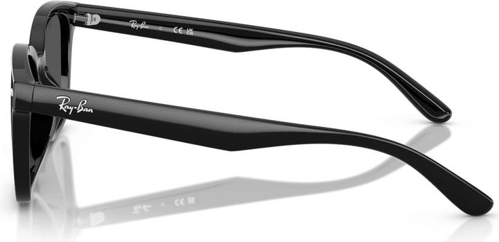 Produktbild Ray Ban RB4461D