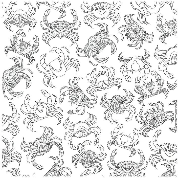 Image du produit Mon océan fantastique