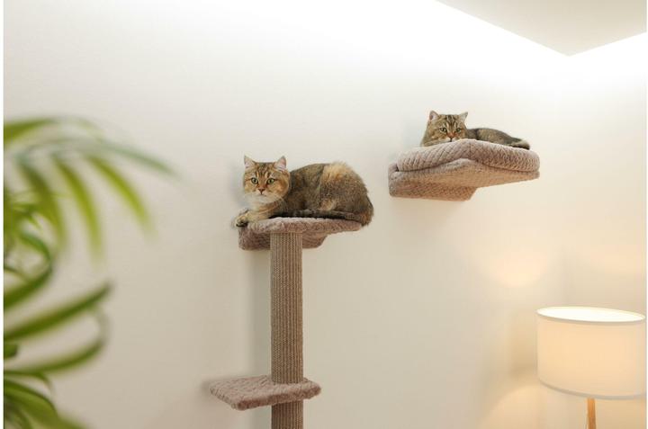 Produktbild Kerbl Monte Alpi (40 cm, Steinbraun)