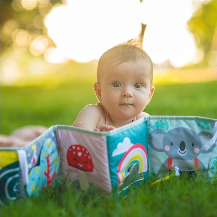 Image du produit Taf Toys Livre bébé koala