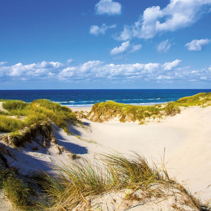 Produktbild Nordsee/Northern Sea 2026 (30 x 30 cm, Weicher Einband, Deutsch, Spanisch, Französisch, Tschechisch, Polnisch, Niederländisch, Italienisch, Englisch)