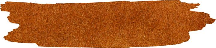 Actual product image Jacques Herbin Ochre calligraphy ink 40ml (Brown)