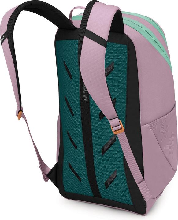 Actual product image Osprey Astronova Daypack 49.5 cm Laptopfach (23 l)