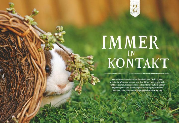 Actual product image Neugierige Meerschweinchen - So fühlen sie sich wohl (German, Immanuel Birmelin, 2015)