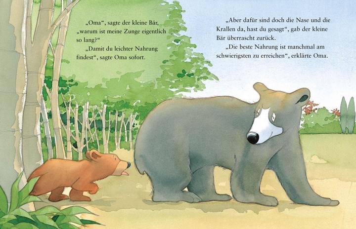 Produktbild Ich hab dich lieb, Oma | Für Kinder ab 2 Jahren (Deutsch, Jilian Harker, Kristina Stephenson, Schwager & Steinlein Verlag, 2023)