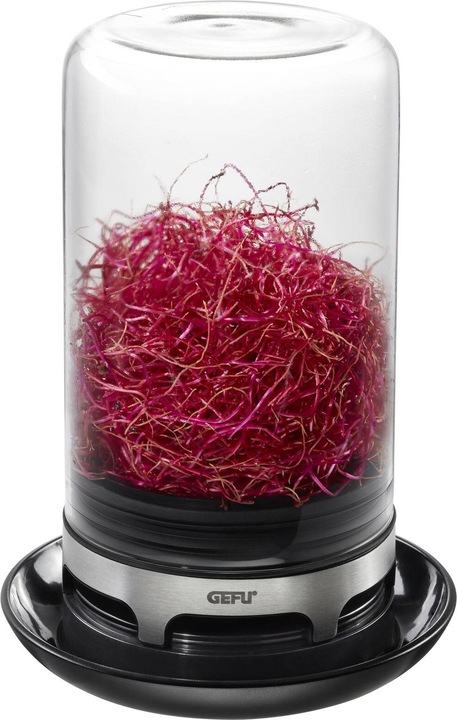 Actual product image GEFU Bivita rung glass