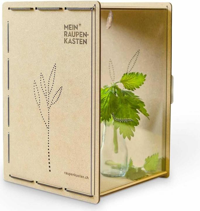 Mein Raupenkasten Insect hotel caterpillar box (Butterflies)