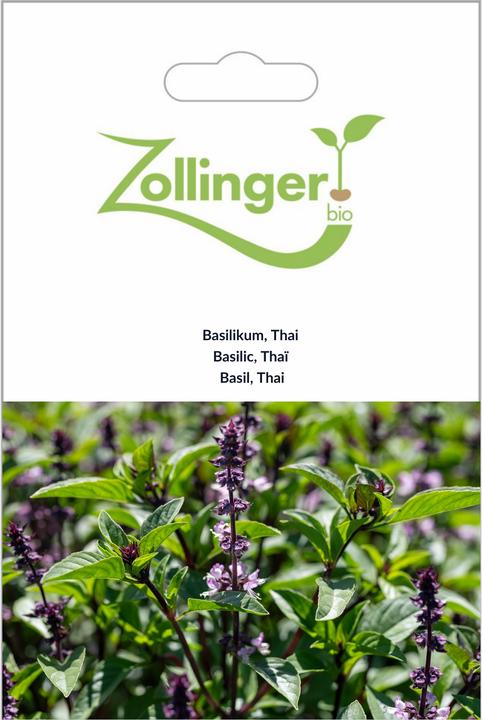 Image du produit Zollinger Bio Basilikum, Thai (Germes)