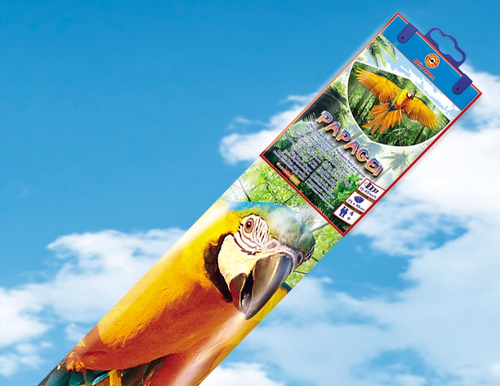 Actual product image Günther Flugspiele Children kite parrot