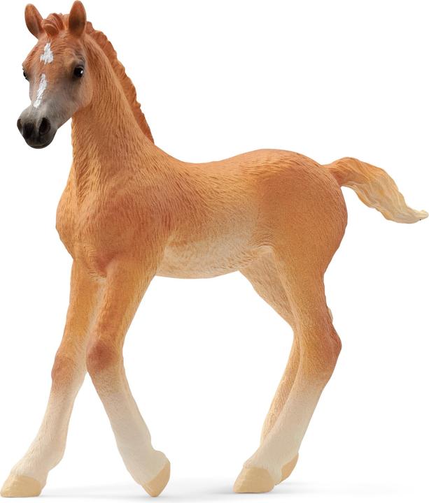 Schleich Arabian foal