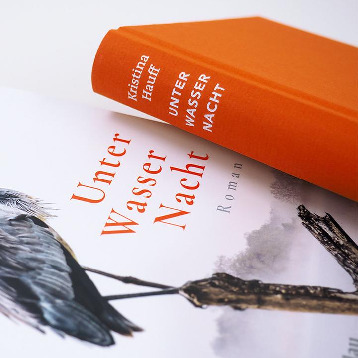 Produktbild Hanserblau Unter Wasser Nacht (Deutsch, Kristina Hauff, 2021)