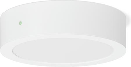 Actual product image RZB LED surface-mounted downlight
