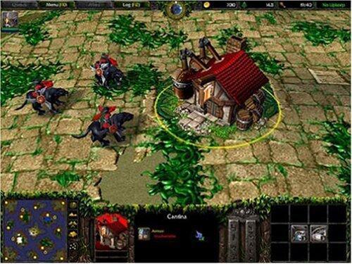 Actual product image Activision Warcraft III: Reign Of Chaos (PC)
