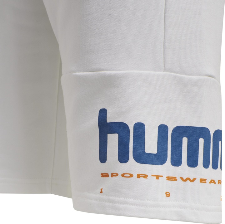 Actual product image hummel Lgc Manfred Shorts (S)