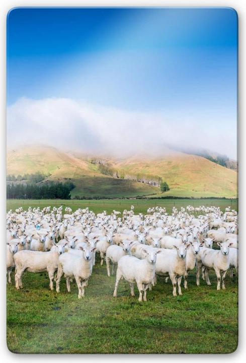 Actual product image Trenddeko Flock of sheep in New Zealand (40 x 60 cm)