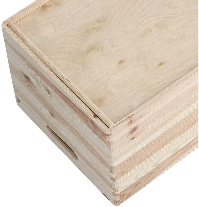 Actual product image Zeller Present All-purpose box (30 cm, 29 l, 1x)