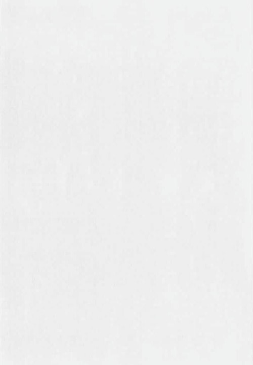 Image du produit D-C-Fix La magie du tableau blanc (60 x 120 cm)