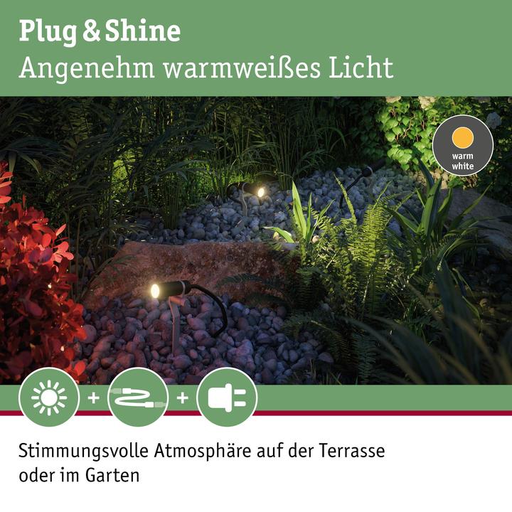 Produktbild Paulmann Outdoor Plug & Shine Plantini Starterset (200 lm, IP65)