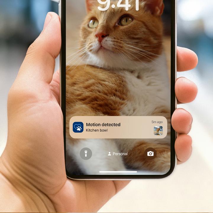 Produktbild Philips Intelligenter Futterautomat mit Kamera (4.50 l)