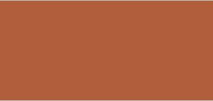 Actual product image Sisley Phyto Blush Twist (5 Contour)