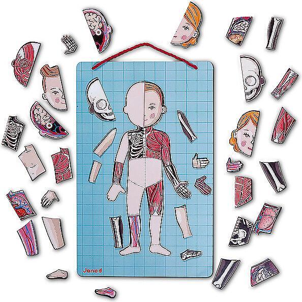 Actual product image Janod Magnetic body (German, Spanish, French, Italian, English)